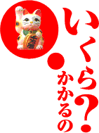 いくらかかるの？